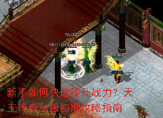 ������ο�������ս������������˽�����ڹ���ָ��