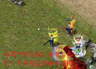 ��ѩ����˽��������ô�棿��Ԫ���湥��ȫ����