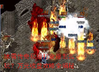 ��ѩ����˽��������ô�棿��Ԫ���湥��ȫ����