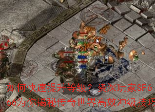 ��ο��������ȼ����������SF666Ϊ����ش��������Ч�弶����