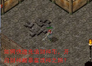 ��ο��ٳ�ֵ����ң���������������֮·��