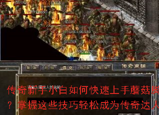 ��������С����ο�������Ģ���ű���������Щ�������ɳ�Ϊ�������