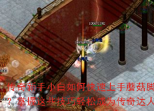 ��������С����ο�������Ģ���ű���������Щ�������ɳ�Ϊ�������