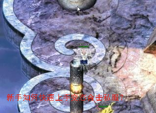 ������ο������ֱ�̬�ϻ�˽����