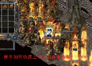 ������ο������ֱ�̬�ϻ�˽����