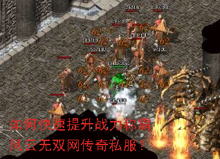 ��ο�������ս���ưԷ�����˫������˽����