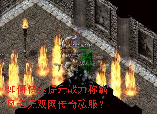 ��ο�������ս���ưԷ�����˫������˽����