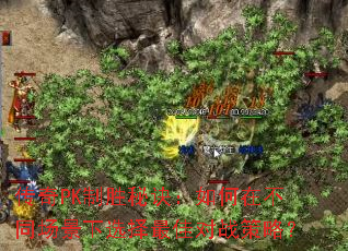 ����PK��ʤ�ؾ�������ڲ�ͬ������ѡ����Ѷ�ս���ԣ�