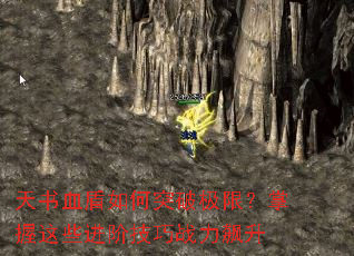 ����Ѫ�����ͻ�Ƽ��ޣ�������Щ���׼���ս�����