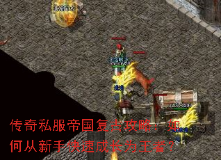����˽���۹����Ź��ԣ���δ����ֿ��ٳɳ�Ϊ���ߣ�