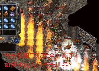 ����˽�����ش�ȫ��������ο������Ŵ������磿