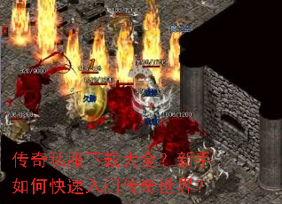 ����˽�����ش�ȫ��������ο������Ŵ������磿