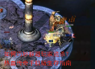 ������������׷ɱ����Ѫ�����ֻ�������ָ��