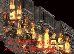 ������������׷ɱ����Ѫ�����ֻ�������ָ��