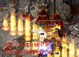 �����GM���ݰ����ƿش���˽����������