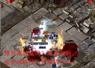 �뷢���¸��������氡����Щ���Լ�������������