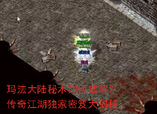 �귨��½��������ƽ⣿���潭���������Ŵ����