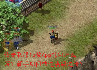 传奇私服15款App礼包怎么领?新手如何快速满级进阶? 传奇私服15款App礼包怎么领?新手如何快速满级进阶?