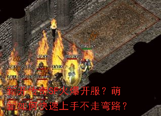 新开传奇SF火爆开服?萌新如何快速上手不走弯路? 新开传奇SF火爆开服?萌新如何快速上手不走弯路?