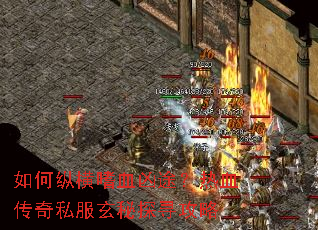 ����ݺ���Ѫ��;����Ѫ����˽������̽Ѱ����