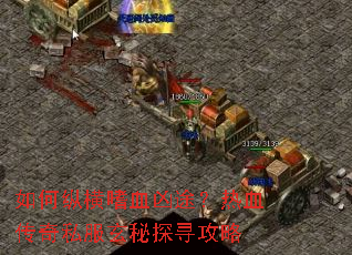 ����ݺ���Ѫ��;����Ѫ����˽������̽Ѱ����