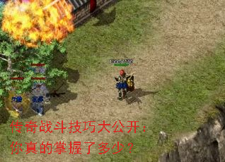 传奇战斗技巧大公开:你真的掌握了多少? 传奇战斗技巧大公开:你真的掌握了多少?