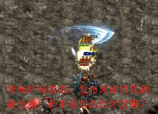 传奇SF合击版:发布网如何找到最佳服,新手该怎么玩才厉害? 传奇SF合击版:发布网如何找到最佳服,新手该怎么玩才厉害?