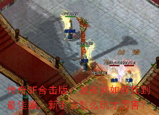 传奇SF合击版:发布网如何找到最佳服,新手该怎么玩才厉害? 传奇SF合击版:发布网如何找到最佳服,新手该怎么玩才厉害?