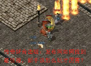 传奇SF合击版:发布网如何找到最佳服,新手该怎么玩才厉害? 传奇SF合击版:发布网如何找到最佳服,新手该怎么玩才厉害?