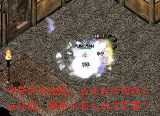 传奇SF合击版:发布网如何找到最佳服,新手该怎么玩才厉害? 传奇SF合击版:发布网如何找到最佳服,新手该怎么玩才厉害?