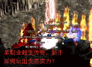 ��ְҵ���䴫�棬������������̬ʵ����