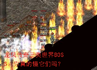 龙凤传奇三类世界BOSS:你真的懂它们吗? 龙凤传奇三类世界BOSS:你真的懂它们吗?