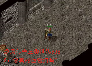 龙凤传奇三类世界BOSS:你真的懂它们吗? 龙凤传奇三类世界BOSS:你真的懂它们吗?