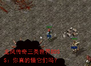 龙凤传奇三类世界BOSS:你真的懂它们吗? 龙凤传奇三类世界BOSS:你真的懂它们吗?