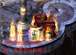 ����С�״�BOSS֮�ң�����Щ��ʤ�ؾ���