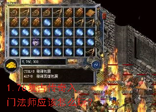 1.76���Ŵ������ŷ�ʦӦ����ô�棿