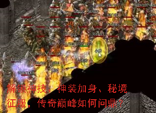 �����񼼡���װ�������ؾ������������۷�����ʶ���
