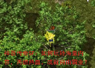 神器传奇SF:如何玩转海量内容,再燃热血,成就自由霸业? 神器传奇SF:如何玩转海量内容,再燃热血,成就自由霸业?