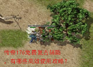 传奇176免费复古辅助,有哪些高效使用攻略? 传奇176免费复古辅助,有哪些高效使用攻略?