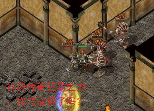 神魂传奇狂暴之力,你驾驭得了吗? 神魂传奇狂暴之力,你驾驭得了吗?