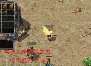 神魂传奇狂暴之力,你驾驭得了吗? 神魂传奇狂暴之力,你驾驭得了吗?