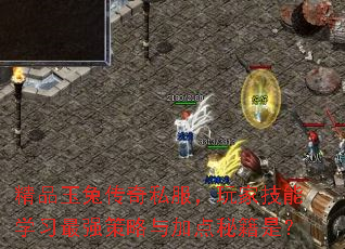 精品玉兔传奇私服,玩家技能学习最强策略与加点秘籍是? 精品玉兔传奇私服,玩家技能学习最强策略与加点秘籍是?