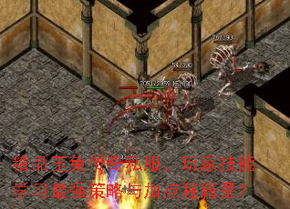 精品玉兔传奇私服,玩家技能学习最强策略与加点秘籍是? 精品玉兔传奇私服,玩家技能学习最强策略与加点秘籍是?