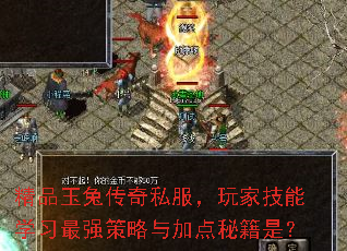 精品玉兔传奇私服,玩家技能学习最强策略与加点秘籍是? 精品玉兔传奇私服,玩家技能学习最强策略与加点秘籍是?