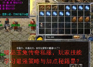 精品玉兔传奇私服,玩家技能学习最强策略与加点秘籍是? 精品玉兔传奇私服,玩家技能学习最强策略与加点秘籍是?