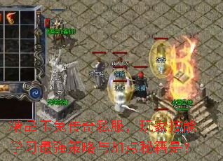 精品玉兔传奇私服,玩家技能学习最强策略与加点秘籍是? 精品玉兔传奇私服,玩家技能学习最强策略与加点秘籍是?