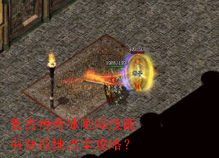 ���Ŵ���������������ȡ�ص�ȫ���ԣ�