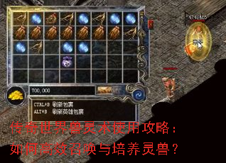 传奇世界兽灵术使用攻略:如何高效召唤与培养灵兽? 传奇世界兽灵术使用攻略:如何高效召唤与培养灵兽?