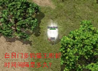 白日门多钩猫王刷新时间间隔是多久? 白日门多钩猫王刷新时间间隔是多久?