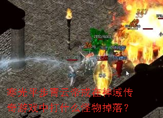 寒光平步青云帝戒在神域传奇游戏中打什么怪物掉落? 寒光平步青云帝戒在神域传奇游戏中打什么怪物掉落?